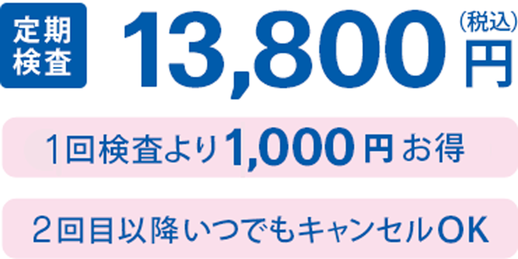 定期検査 13,800円（税込）