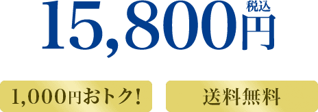 15,800円(税込) 1,000円おトク!送料無料