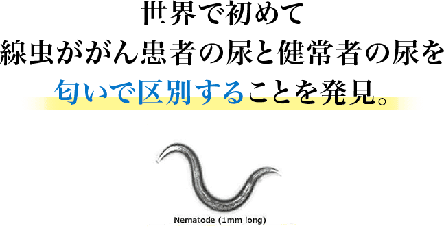 世界で初めて線虫の活性化を可視化することに成功。