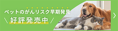 N-NOSE エヌノーズ あにまる