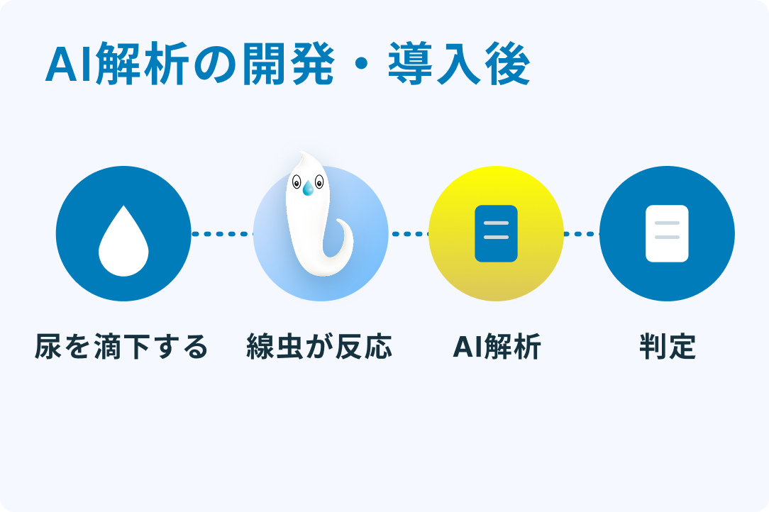 AI解析の開発・導入後の検査フロー：尿を滴下する → 線虫が反応 → AI解析 → 判定